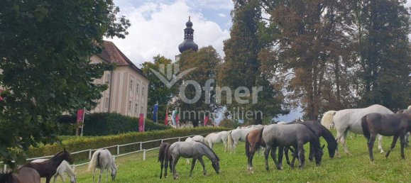  Land in Koflach, Austria No. 28389 7