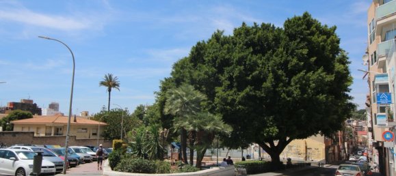 Propriedade comercial T24 em Alicante, Spain N.º 365225 17