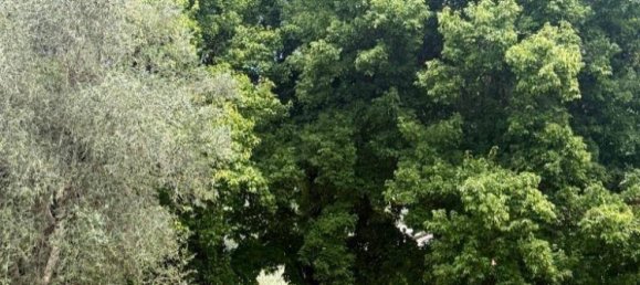 1 Schlafzimmer Haus in Massa, Italy, Nr. 286130 12