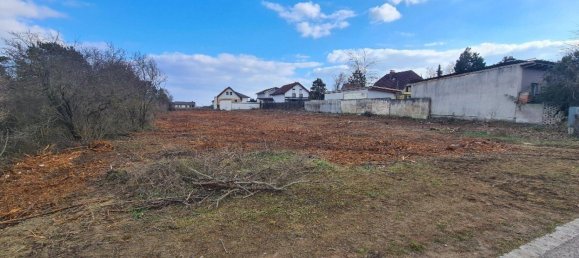695m² Land in Deutsch-Wagram, Austria No. 167593 3