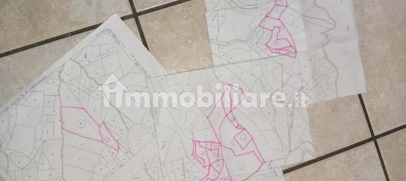 70000m² Land in Montefortino, Italy No. 279336 6