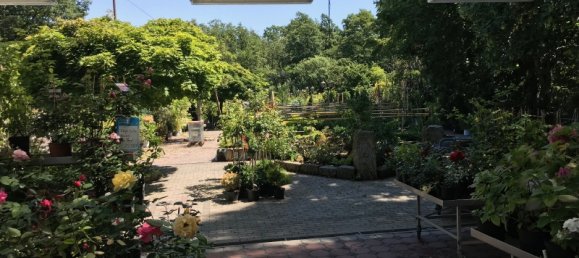 Gewerbliche Immobilie in Bautzen, Germany, Nr. 367954 19