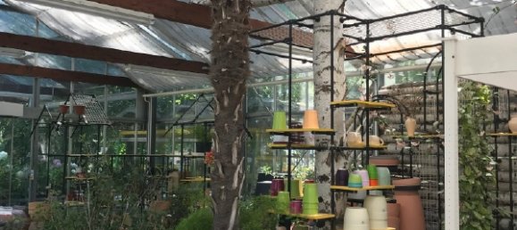 Gewerbliche Immobilie in Bautzen, Germany, Nr. 367954 14