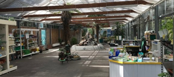 Gewerbliche Immobilie in Bautzen, Germany, Nr. 367954 7