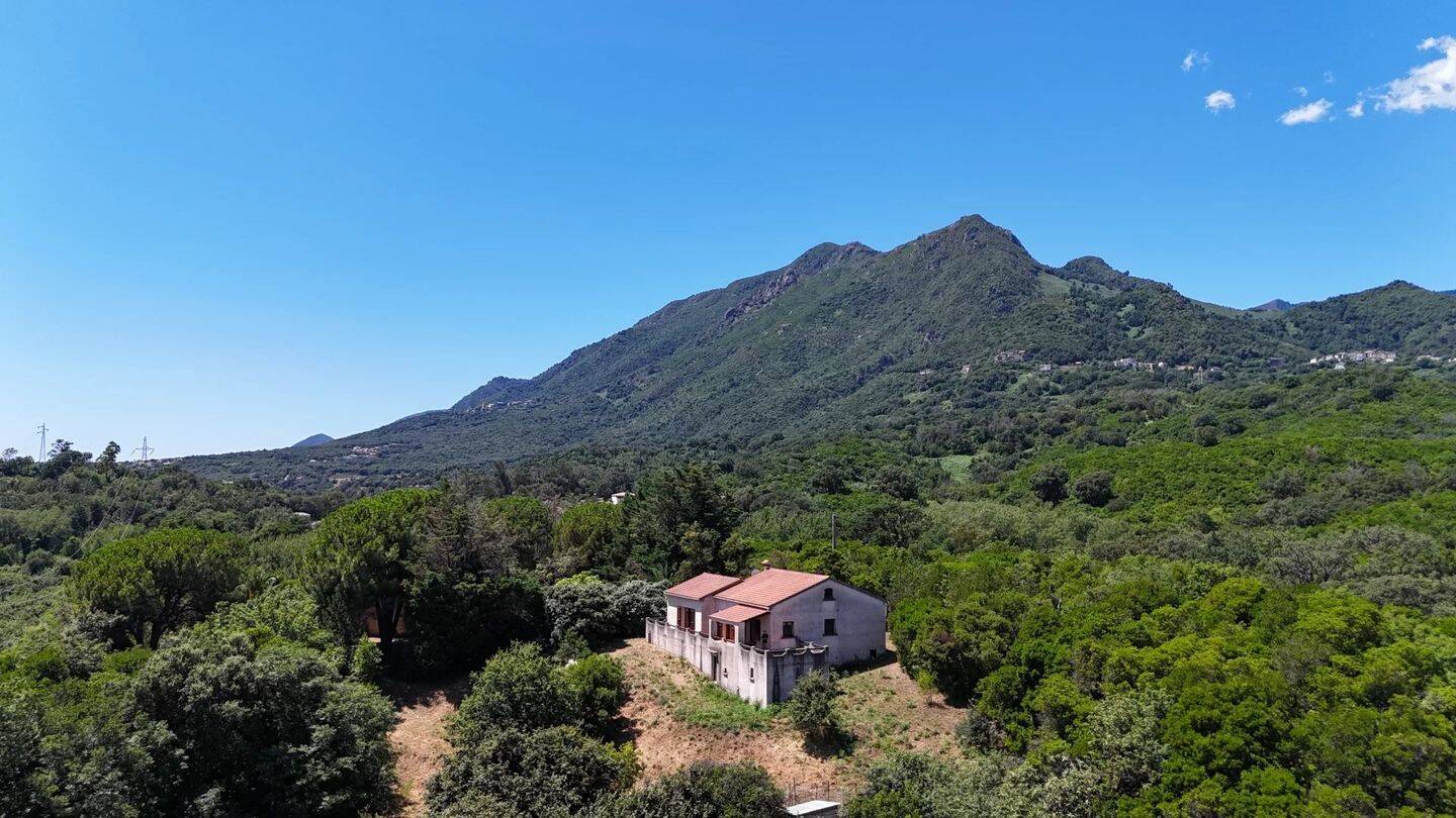 2 chambres Villa à San-Nicolao, France No. 158567