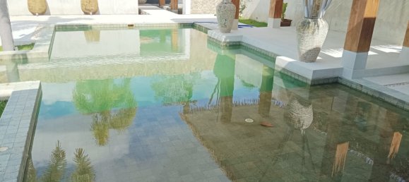 3 bedrooms Cafe / restaurant in Ko Samui, Thailand No. 9149 4