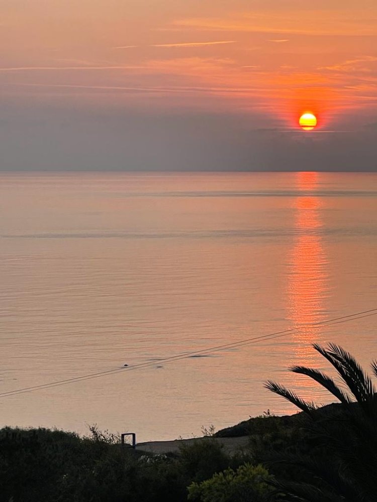 6 غرف نوم فيلا في Pegeia, Cyprus رقم 4278