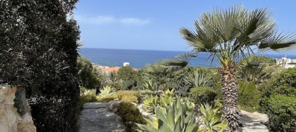 6 غرف نوم فيلا في Pegeia, Cyprus رقم 4278 8