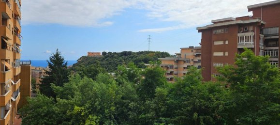 6 rooms Apartment in Genoa, Italy No. 284251 10