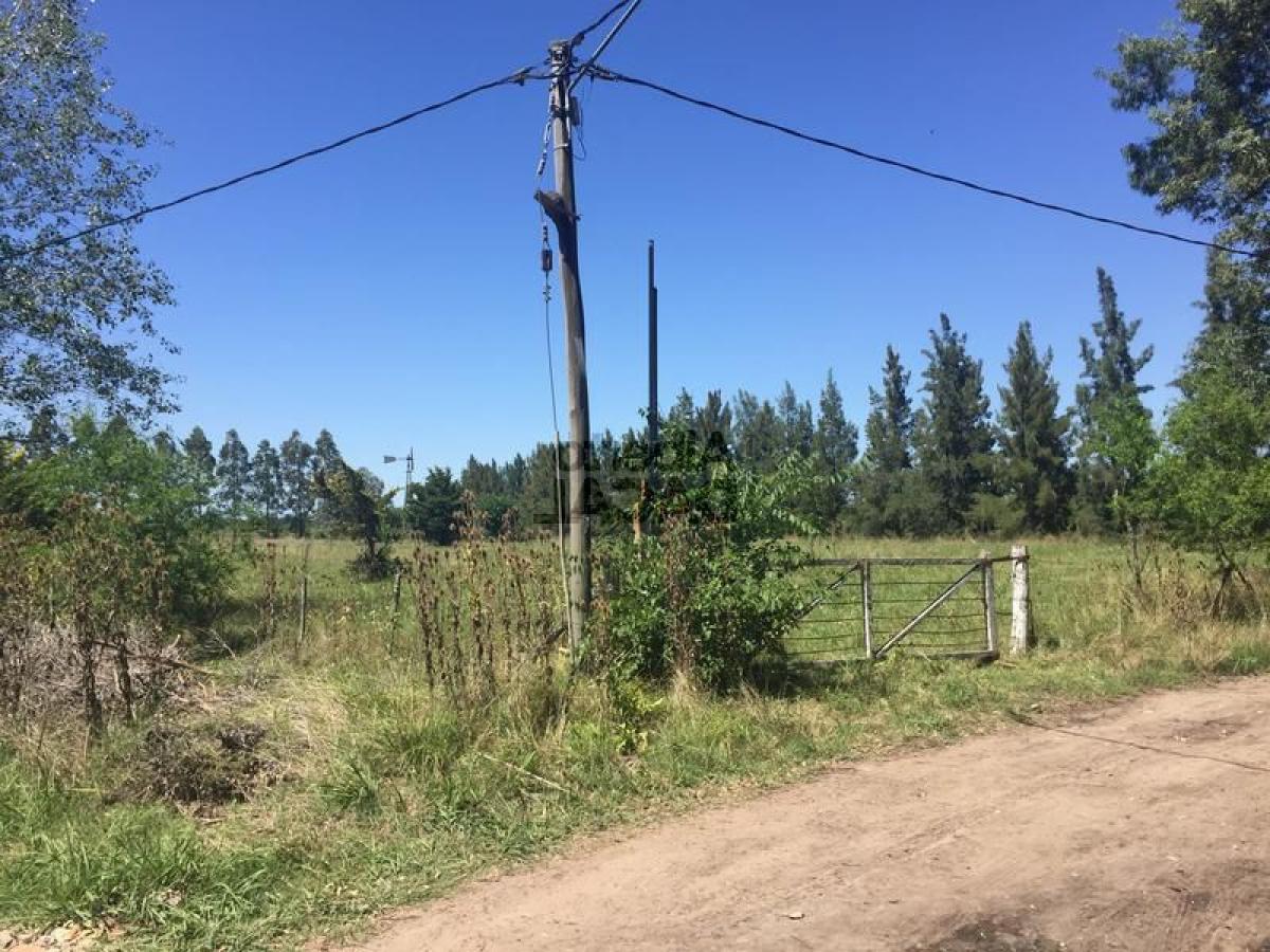 Terreno en Campo Creado, Argentina No. 39448