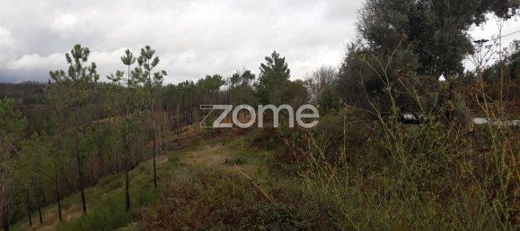 Terreno em Arganil, Portugal 4850 m² N.º 65770 4