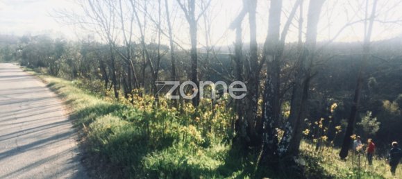 Terreno em Arganil, Portugal 4850 m² N.º 65770 15