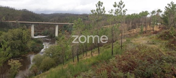 Terreno em Arganil, Portugal 4850 m² N.º 65770 3