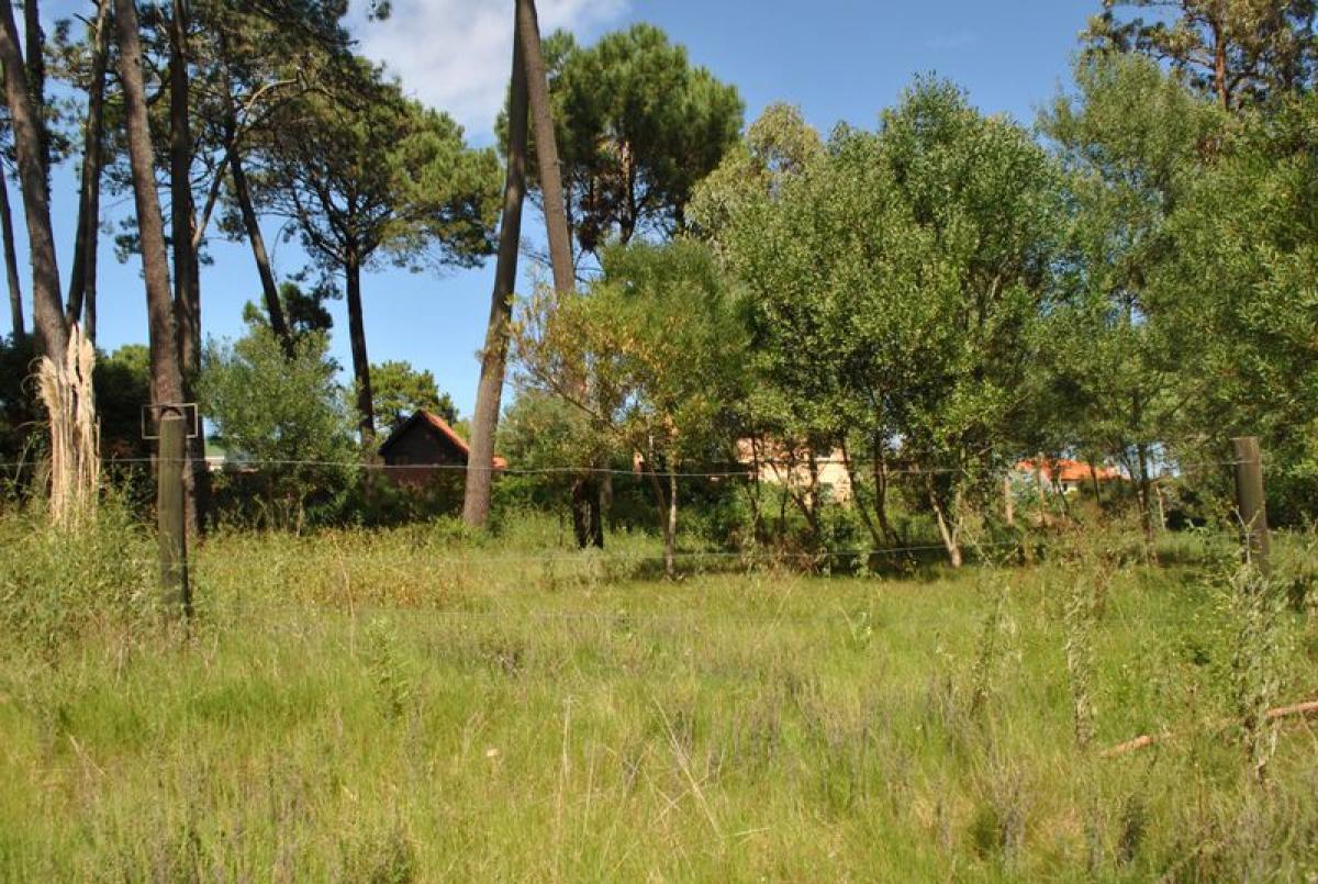 Земельный участок в Мальдонадо, Уругвай № 15767