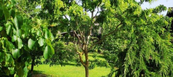 3-Zimmer Bungalow in Bad Wimsbach-Neydharting, Austria, Nr. 135073 32