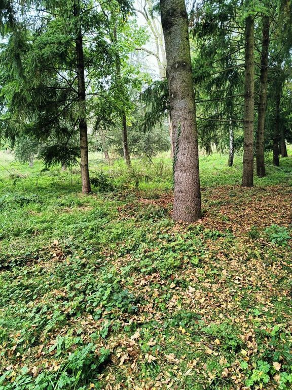 Земельный участок 5000м² в Сен-Приест-ан-Жаре, Франция № 88128