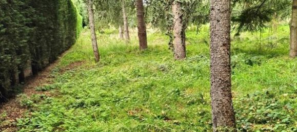 Земельный участок 5000м² в Сен-Приест-ан-Жаре, Франция № 88128 2