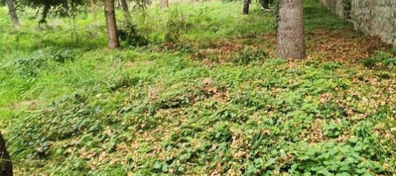 Земельный участок 5000м² в Сен-Приест-ан-Жаре, Франция № 88128 3