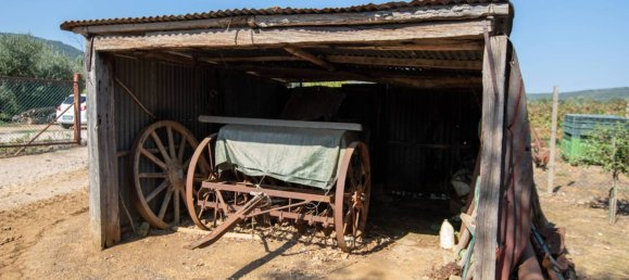 4 bedrooms House in Capalbio, Italy No. 92886 22