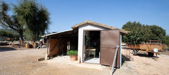 4 bedrooms House in Capalbio, Italy No. 92886 18