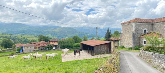 Grundstück in Cangas de Onis, Spain 20500m², Nr. 159790 39