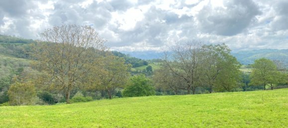 20500m² Land in Cangas de Onis, Spain No. 159790 58