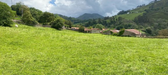 Grundstück in Cangas de Onis, Spain 20500m², Nr. 159790 46