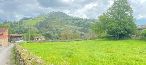 Grundstück in Cangas de Onis, Spain 20500m², Nr. 159790 23