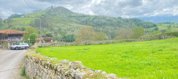 Grundstück in Cangas de Onis, Spain 20500m², Nr. 159790 25