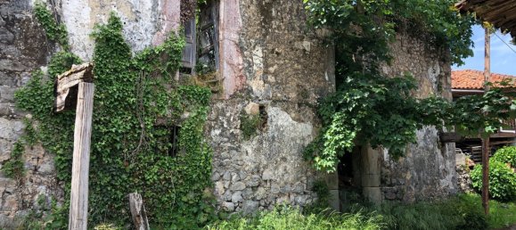 Grundstück in Cangas de Onis, Spain 20500m², Nr. 159790 50