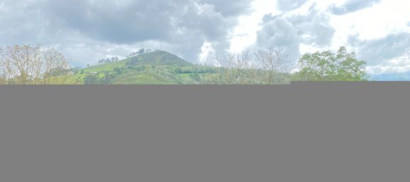 Grundstück in Cangas de Onis, Spain 20500m², Nr. 159790 10