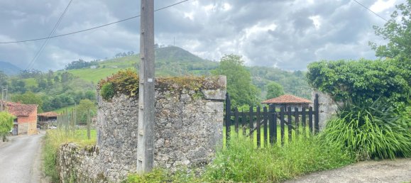 Grundstück in Cangas de Onis, Spain 20500m², Nr. 159790 20