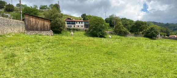 Grundstück in Cangas de Onis, Spain 20500m², Nr. 159790 44
