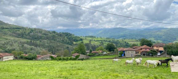 Grundstück in Cangas de Onis, Spain 20500m², Nr. 159790 38