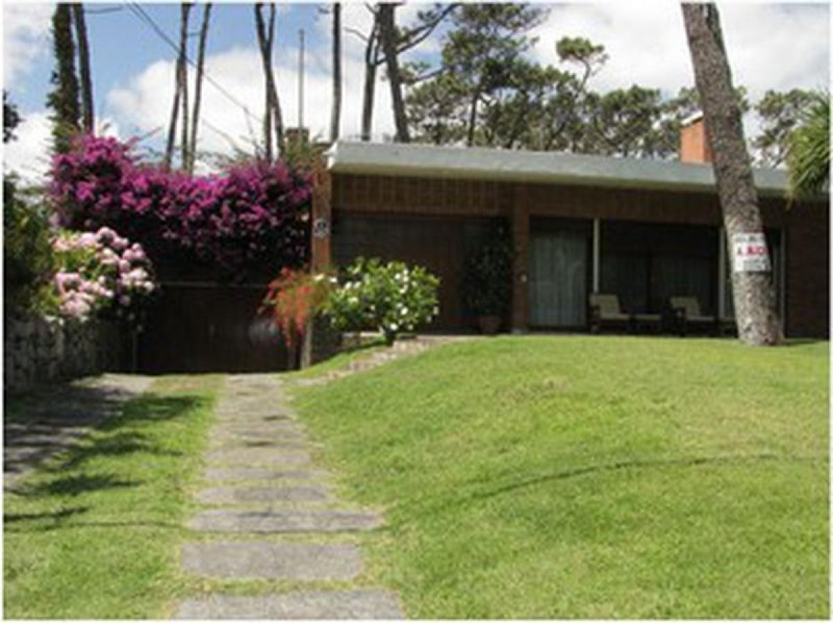 4 bedrooms House in Maldonado, Uruguay No. 12928