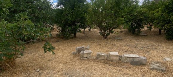 Villa de 2 habitaciónes en Oria, Italy No. 350282 13