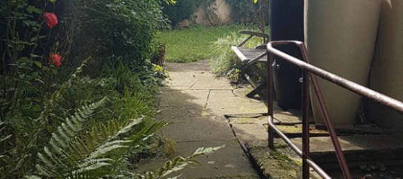 5 bedrooms Townhouse in Heilbronn, Germany No. 249720 28