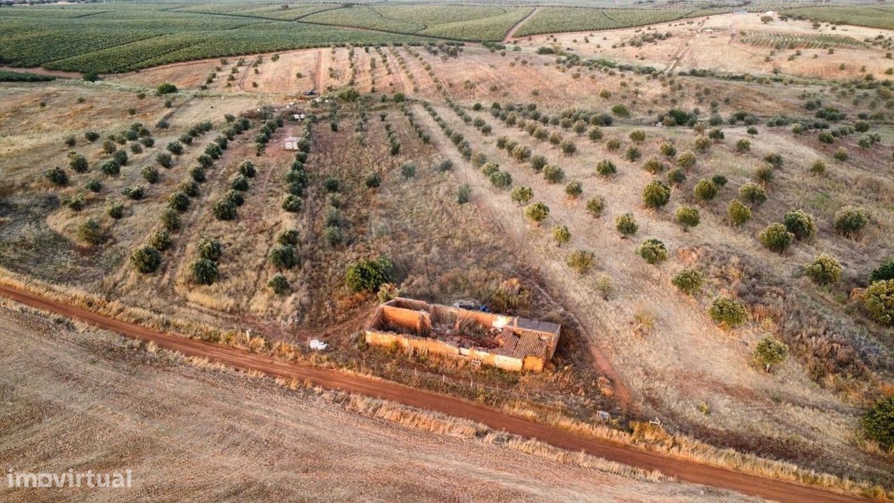 9 bedrooms House in Beja, Portugal No. 250620