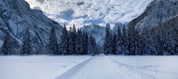 2 rooms Apartment in Trentino-Alto Adige, Italy No. 260595 14