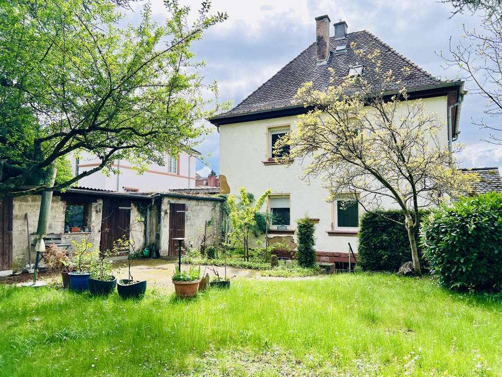 6 غرف نوم منزل في Bad Bergzabern, Germany رقم 322382