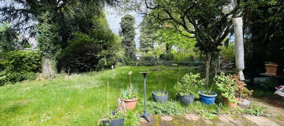 6 غرف نوم منزل في Bad Bergzabern, Germany رقم 322382 19