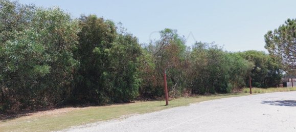 1725m² Land in Grandola, Portugal No. 110905 13