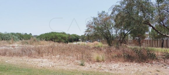 1725m² Land in Grandola, Portugal No. 110905 15