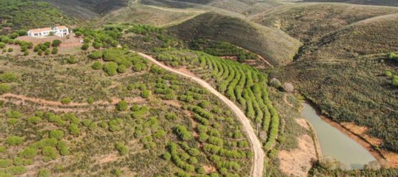 6 Schlafzimmer Haus in Odiaxere, Portugal, Nr. 71218 47
