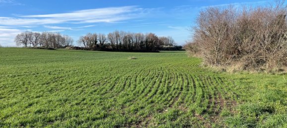 26000m² Land in Pitigliano, Italy No. 253785 3