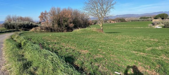 26000m² Land in Pitigliano, Italy No. 253785 2