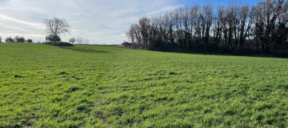 26000m² Land in Pitigliano, Italy No. 253785 10