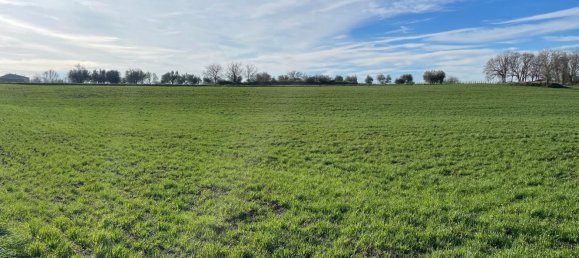 26000m² Land in Pitigliano, Italy No. 253785 6