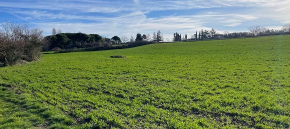 26000m² Land in Pitigliano, Italy No. 253785 9