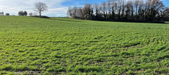 26000m² Land in Pitigliano, Italy No. 253785 8